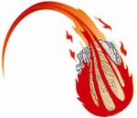 Korean Team Image-large